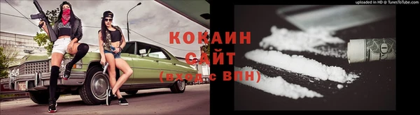 твердый Осташков