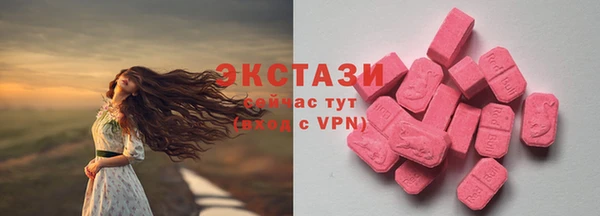 твердый Осташков